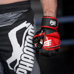 MMA Sparring Handschuhe RAIDER